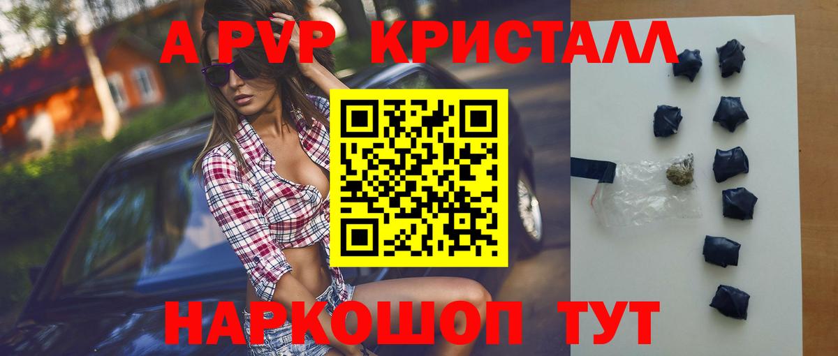 A PVP СК КРИС Искитим