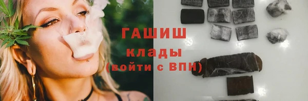 МДПВ Каменка